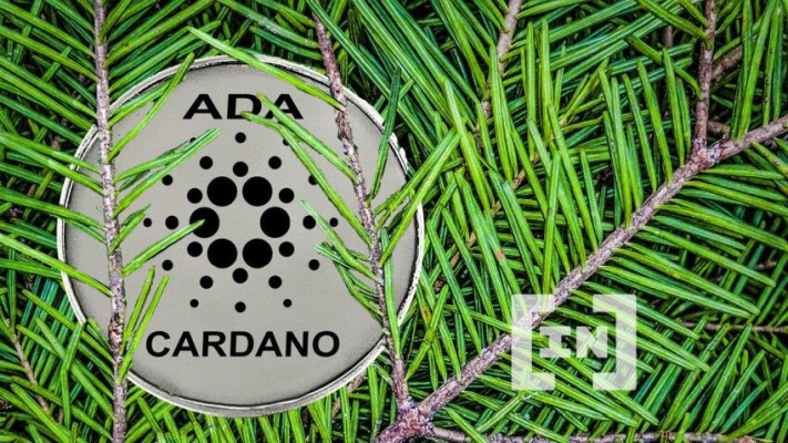 Cardano Foundation Outlines Core Focus Areas for 2022!